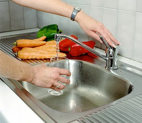 kitchen sink: a sink in a kitchen used for washing crockery, cutlery, utensils, food, etc., and disposing of waste