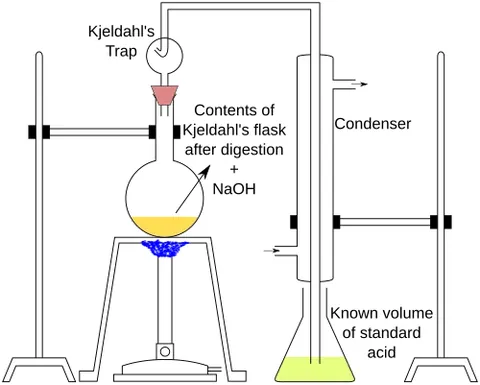 kjeldahl method: a laboratory method used to determine the amount of nitrogen in organic substances. It works by...