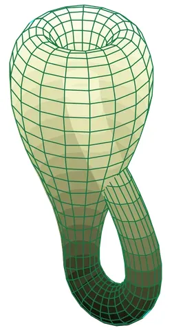 klein bottle: the closed manifold obtained by identifying the boundary components of the annulus so that the...