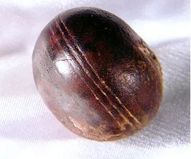 klerksdorp sphere: a small object, often spherical to disc-shaped, found in three-billion-year-old pyrophyllite...