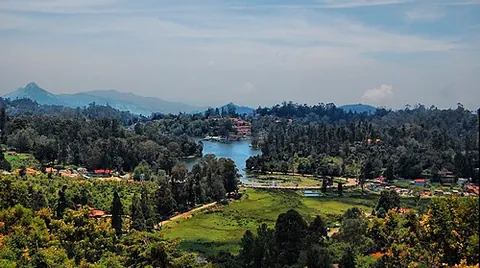 kodaikanal: a municipality of Dindigul district, Tamil Nadu, India