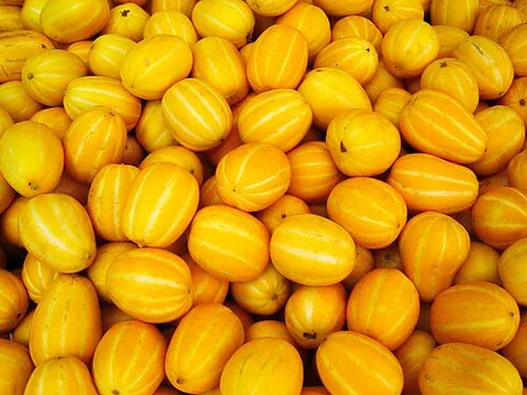 korean melon: a type of muskmelon (Cucumis melo), cultivated in East Asia for their edible fruit