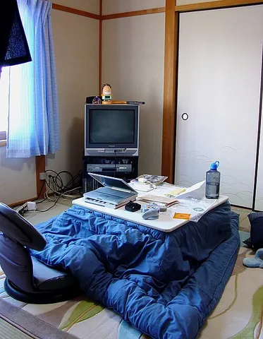 kotatsu: a knee-high table with a heater inside which is used with a coverlet during winter