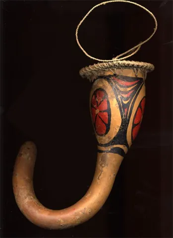 koteka: a penis sheath, usually made from a dried gourd, traditionally worn by the men of certain ethnic...