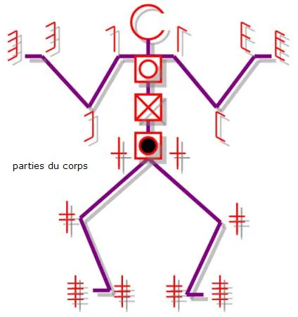 labanotation: a system for documenting body movement
