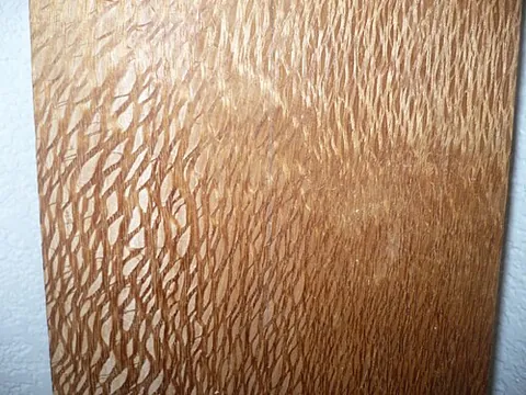 lacewood: any of several types of wood with a coarse texture, but especially that from several varieties of...