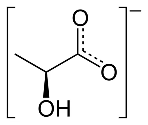 lactate: to secrete or produce milk