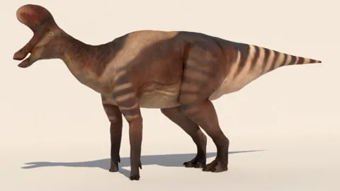 lambeosaur: a crested duck-billed dinosaur of the family Hadrosauridae
