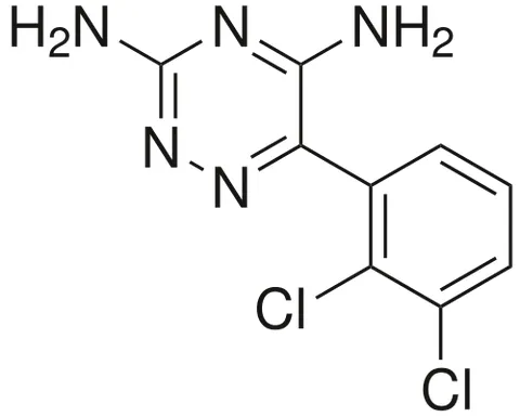 lamotrigine: an anticonvulsant drug used in the treatment of epilepsy