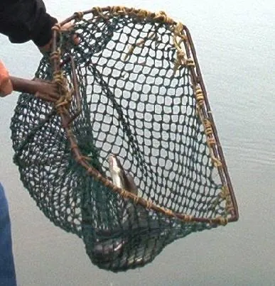 landing net: a fishnet mounted on a ring which is connected to a handle, used by anglers to secure a catch when...