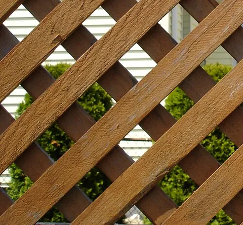 lattice: a flat panel constructed with widely-spaced crossed thin strips of wood or other material, commonly...