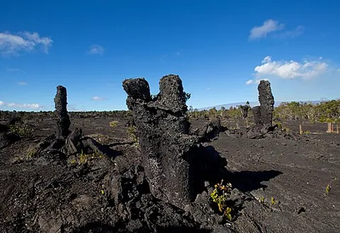 lava tree: a hardened stone pillar or hollow mold left behind when molten lava flows around a tree trunk,...