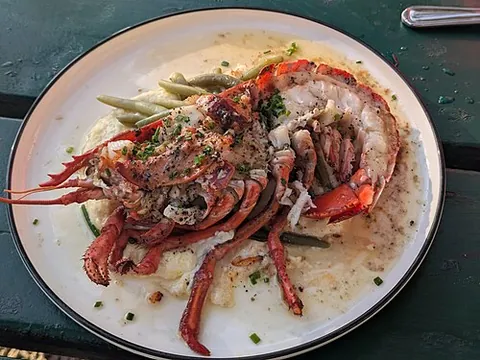 lazy lobster: shelled, dressed lobster