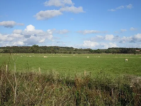 lea: an open field, meadow, pasture