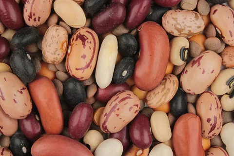 legume: the fruit or seed of leguminous plants (as peas or beans) used for food
