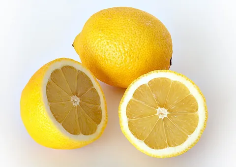 lemon: a yellowish citrus fruit