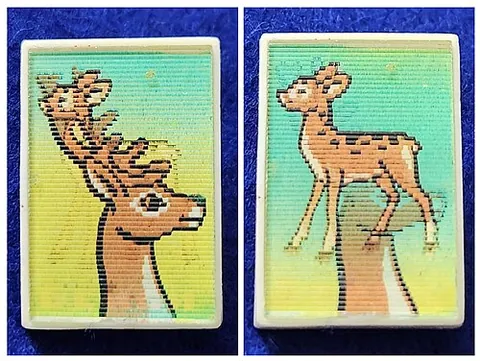 lenticular image: a picture made using lenticular printing where different images appear from different viewing angles