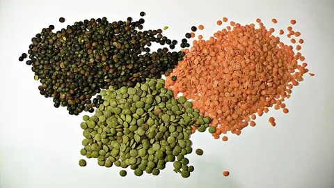 lentil: any of several plants of the genus Lens, especially Lens culinaris, from southwest Asia, that have...