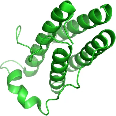 leptin: a protein hormone produced in adipose tissue; it plays a role in regulating appetite and metabolism