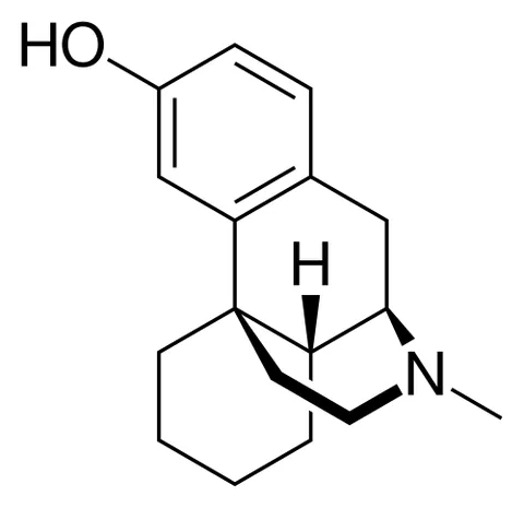 levorphanol: an addictive drug used especially in the form of its hydrated tartrate C₁₇H₂₃NO·C₄H₆O₆·2H₂O as a...