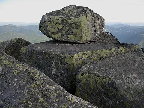 lichened: covered with lichen