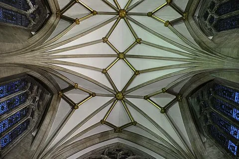 lierne rib: in Gothic vaulting, any rib which does not spring from the impost and is not a ridge rib, but...
