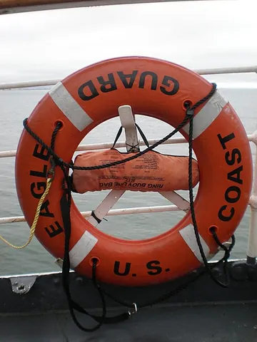 life ring: a life-buoy