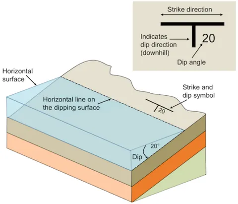 line of dip: a line in the plane of a stratum, or part of a stratum, perpendicular to its intersection with a...