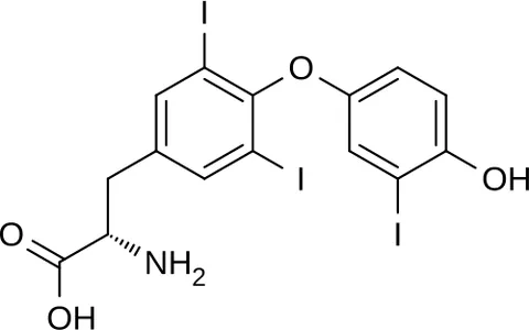 liothyronine: a form of thyroid hormone used to treat hypothyroidism and myxedema coma