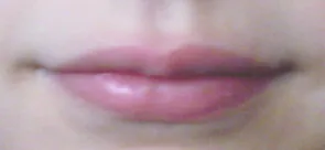 lip: either of the two fleshy protrusions around the opening of the mouth