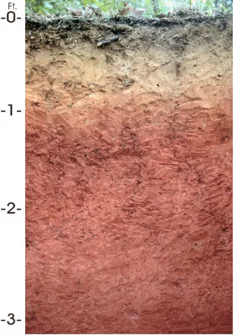 loam: a type of soil; an earthy mixture of sand, silt and clay, with organic matter to which its...