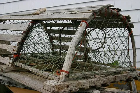 lobster pot: a trap used to catch lobsters, resembling a crate with a small opening that a lobster can enter but...