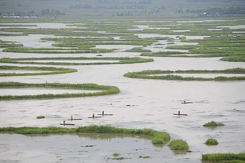 loktak: a freshwater lake in Imphal valley, Manipur, India, known for the floating biomasses called...