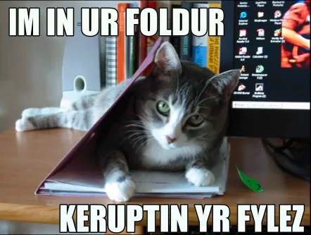 lolcat: an image macro of, usually, a kitten or a cat with a humorous caption