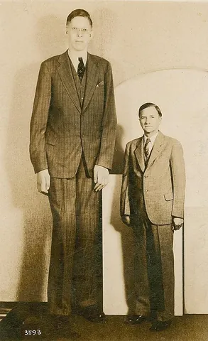 long drink of water: a tall person