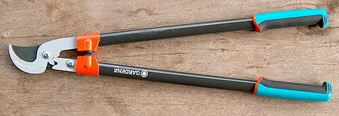 loppers: pruning shears with long handles, used for lopping