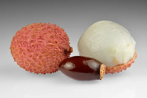 lychee: the Chinese tropical fruit tree Litchi chinensis, of the soapberry family
