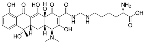 lymecycline: a tetracycline broad-spectrum antibiotic, unique amongst tetracyclines in being absorbed by an...