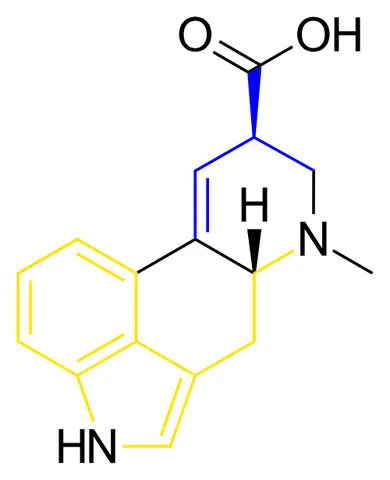 lysergic: used in the designation of lysergic acid and lysergic acid diethylamide: produced by hydrolysis...