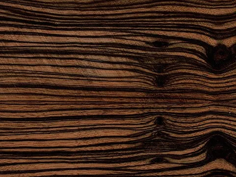 macassar: a form of ebony from the tree Diospyros celebica