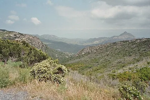 macchia: any shrubland biota in Mediterranean countries, typically consisting of densely-growing evergreen...