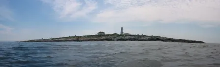 machias seal island: an island of Grand Manan archipelago, at the boundary of Gulf of Maine and Bay of Fundy, is an...