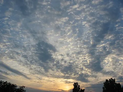 mackerel sky: a sky filled with a regular pattern of altocumulus clouds somewhat resembling the skin of a mackerel