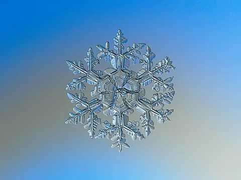 macrophotography: photography that is done up close; close-up photography