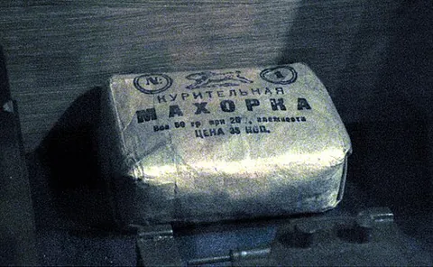 makhorka: a coarse, strong type of tobacco (Nicotiana rustica), especially grown in Russia and Ukraine