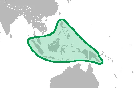 malesia: a biogeographical region straddling the boundaries of the Indomalaya and Australasia ecozones