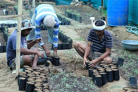 mali: a member of a caste in South Asia whose traditional occupation is gardening; hence, any South Asian...