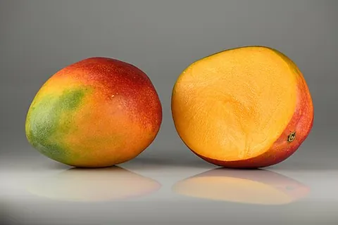 mango: any of species Mangifera indica of tropical Asian fruit trees