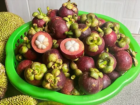 mangosteen: a tropical fruit of the tree genus Garcinia