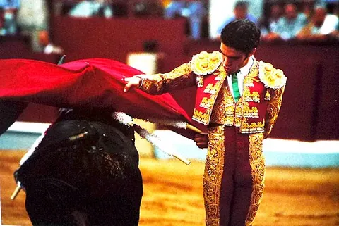 manoletina: a maneuver in which the bull charges behind the bullfighter into his red muleta